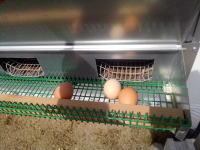 �H�ރC���[�W