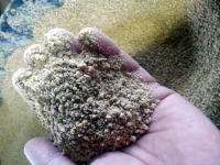 �����C���[�W